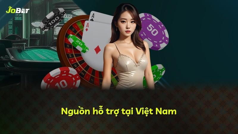 Nguồn hỗ trợ tại Việt Nam